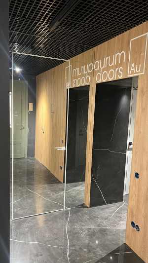 Фирменный салон «Aurum Doors» = <p>ул. Кирова, дом 178</p>